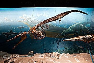 万代机甲射击游戏《奇异贤伴：爱达之歌》宣布封闭网络测试 9月13日举行